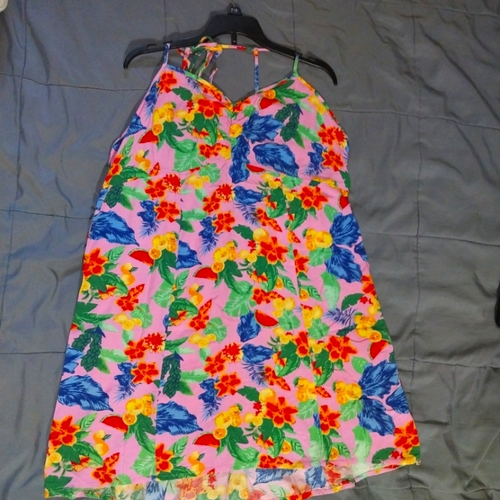 Wild Fable Sz XL